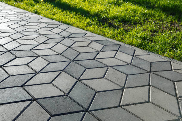 Best Custom Driveway Pavers  in Robstown, TX